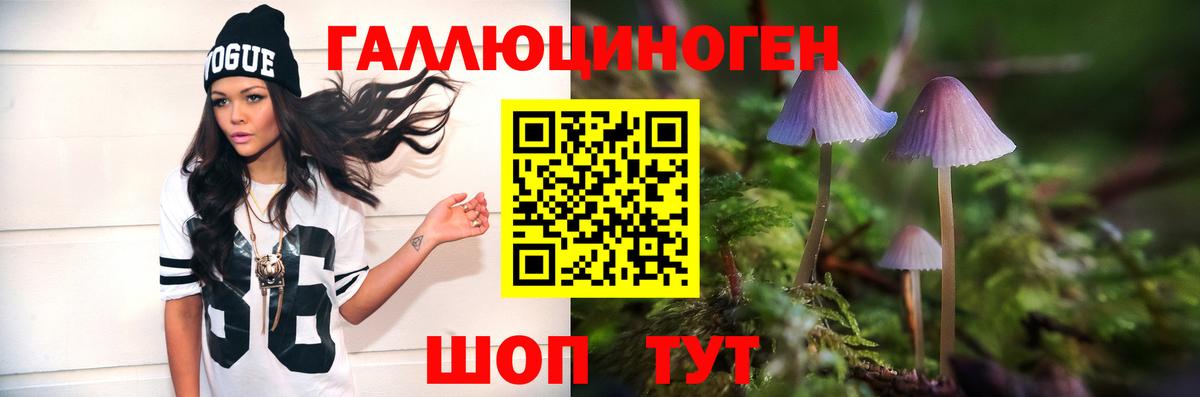 Галлюциногенные грибы ЛСД  где можно купить   Ефремов  Вход с VPN 